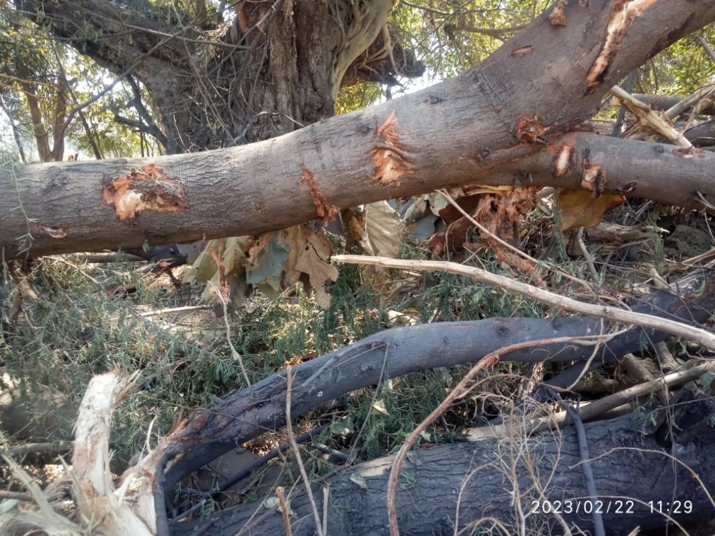 IMG 20230222 WA0049 2 Console Corptech