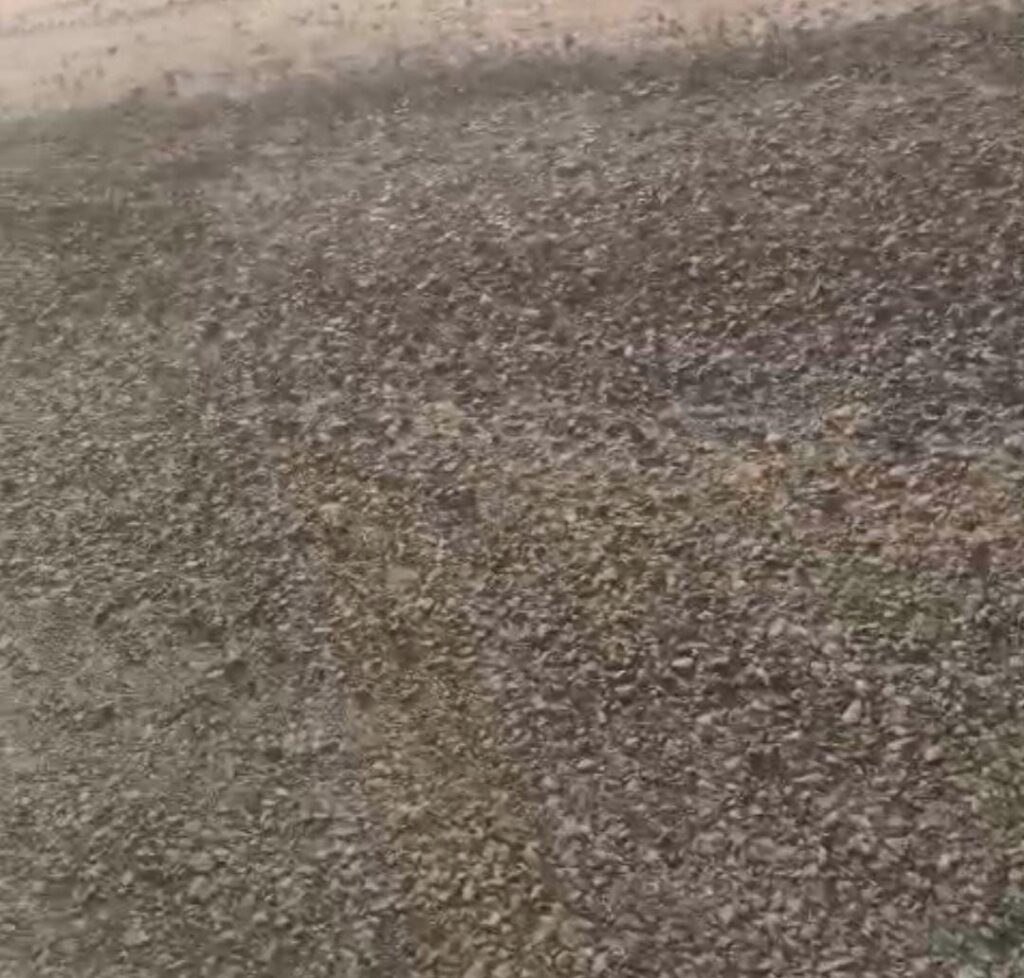 img 20251120 wa0053227287495021329700 Console Corptech