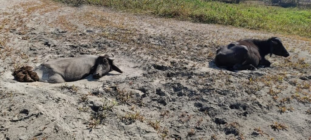 img 20260119 wa00761089107275550239010 Console Corptech