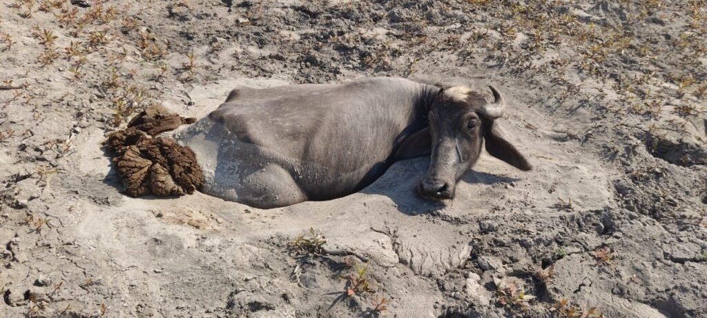 img 20260119 wa00777487936218239053963 Console Corptech