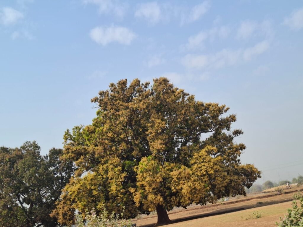 img 20260219 wa00431685292779988181995 Console Corptech