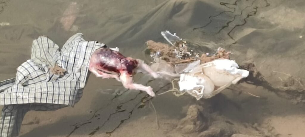 img 20260319 wa01096394898056348478259 Console Corptech