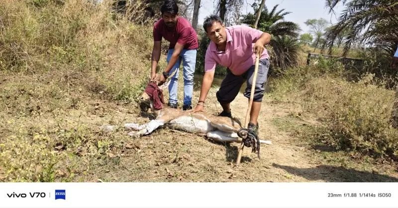 img 20260323 wa03637220686994153914525 1024x5371430479309784105011 1 Console Corptech