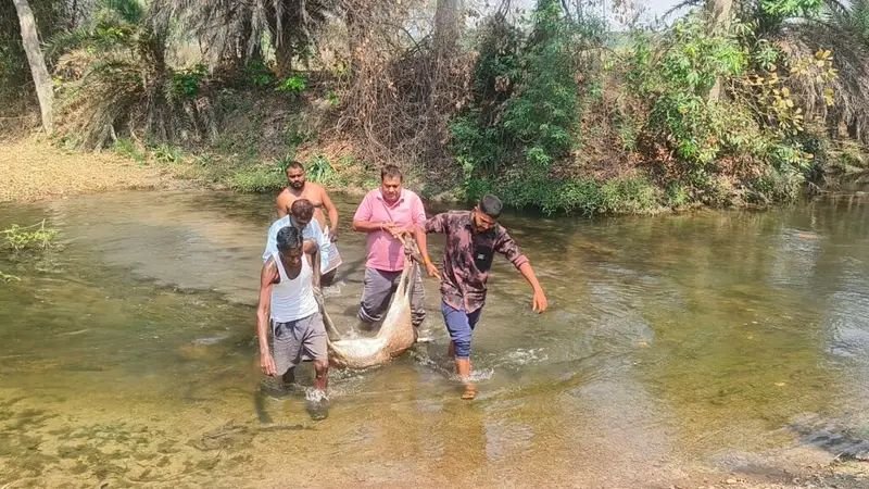 img 20260323 1049473222156626543828403 1024x5761669980533074503071 1 Console Corptech