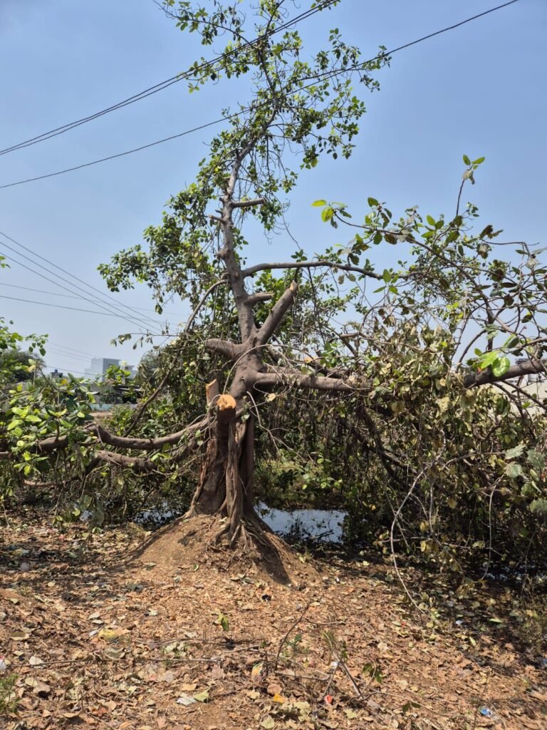 img 20260425 wa00831347753698504700570 Console Corptech